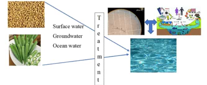 Microplastics water