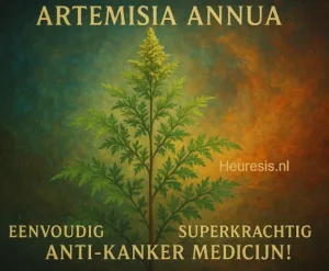 Artemisia annua